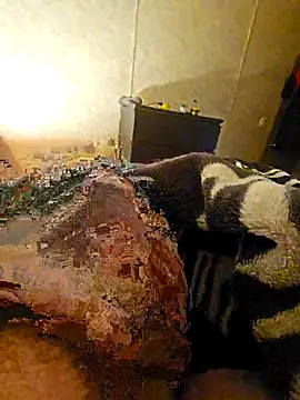 Advocate 420 online show from December 3, 2025, 6:47 am