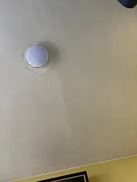 Snapshot of Flakka95 chatting on February 5, 2025, 1:54 pm Flakka95 online show from February 5, 2025, 1:54 pm