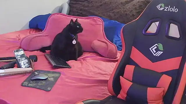 sugahfreeee online show from December 14, 2025, 8:09 am