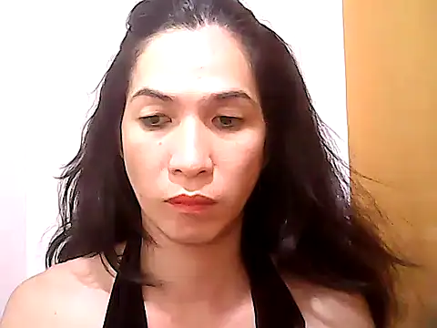 Snapshot of BigDickTrans chatting on March 11, 2025, 12:54 am BigDickTrans online show from March 11, 2025, 12:54 am