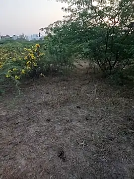 rameshmry1 online show from March 5, 2026, 12:35 pm