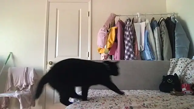 Snapshot of HYPHYtype chatting on September 20, 2025, 5:40 pm HYPHYtype online show from September 20, 2025, 5:40 pm