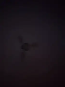 1Aleks13 online show from November 25, 2025, 10:54 pm