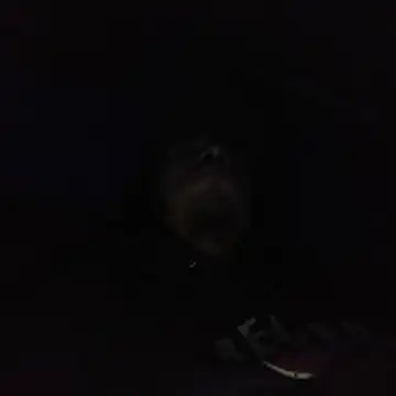 Snapshot of AlexAlejandro13 chatting on February 3, 2026, 6:40 am AlexAlejandro13 online show from February 3, 2026, 6:40 am