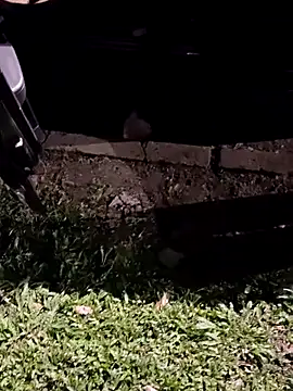 jeancarloscum12 online show from February 10, 2026, 8:35 am