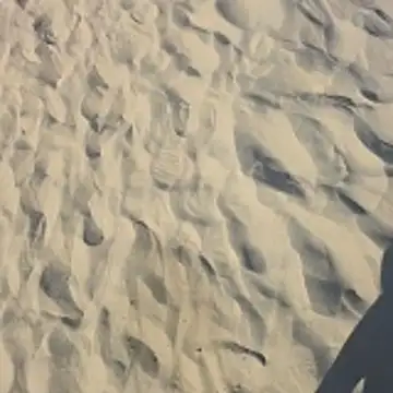 Trucker Hunter online show from October 26, 2025, 3:45 pm