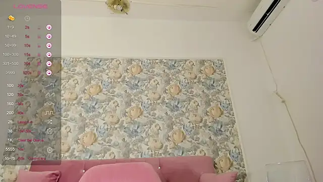 illegal lorry online show from October 17, 2025, 5:00 am