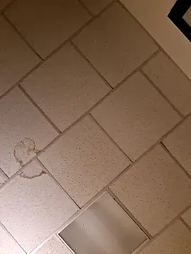 curiouscock38 online show from November 20, 2025, 11:55 am