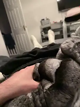 Furdale online show from December 17, 2025, 4:12 pm