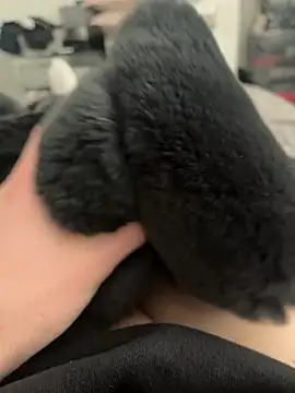 Furdale online show from February 28, 2025, 11:36 am