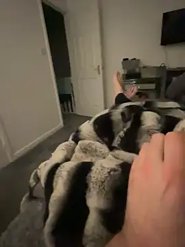 Furdale online show from February 5, 2025, 7:20 pm