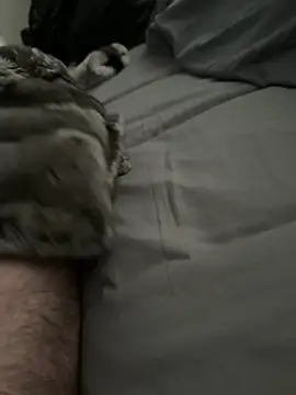 Furdale online show from March 23, 2026, 2:39 pm