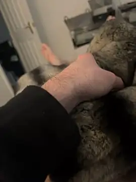 Furdale online show from February 17, 2025, 3:11 pm