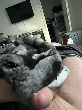 Furdale online show from September 19, 2025, 5:17 pm