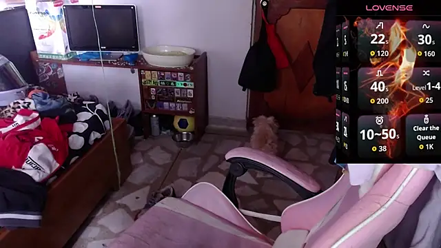 Snapshot of Apolo_S chatting on February 10, 2026, 2:27 pm Apolo S online show from February 10, 2026, 2:27 pm