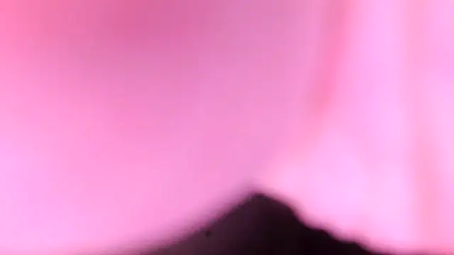 Snapshot of sr4343 chatting on February 17, 2026, 10:18 pm sr4343 online show from February 17, 2026, 10:18 pm