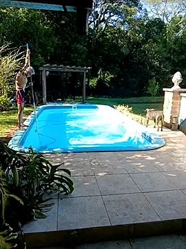 dutra498 online show from February 3, 2026, 11:59 am