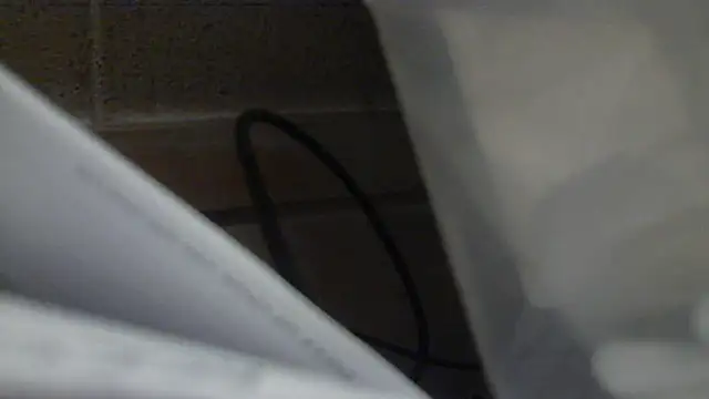 stelletje55 online show from April 4, 2026, 7:42 pm