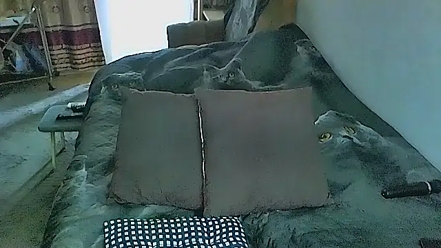 Snapshot of sex2 chatting on November 4, 2025, 2:26 am sex2 online show from November 4, 2025, 2:26 am