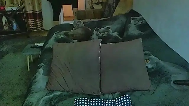 Snapshot of sex2 chatting on December 4, 2025, 1:26 am sex2 online show from December 4, 2025, 1:26 am