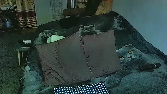 Snapshot of sex2 chatting on September 29, 2025, 5:40 pm sex2 online show from September 29, 2025, 5:40 pm