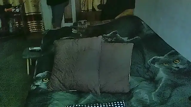 sex2 online show from March 30, 2026, 12:12 am