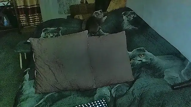 Snapshot of sex2 chatting on October 30, 2025, 7:00 pm sex2 online show from October 30, 2025, 7:00 pm