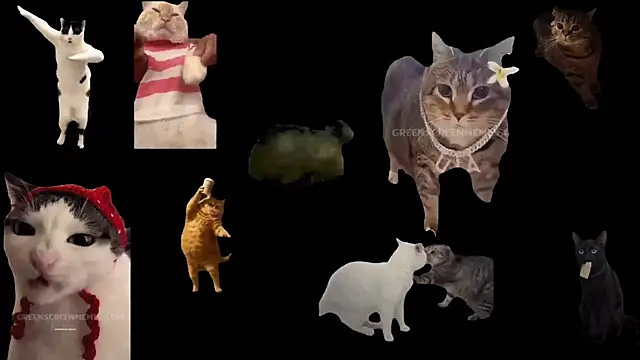 aberaaruba online show from November 13, 2025, 1:26 pm