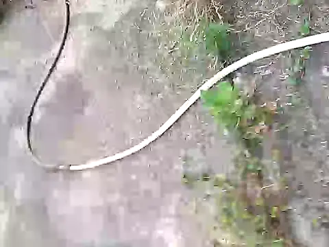 Snapshot of Pitercom chatting on October 5, 2025, 2:02 am Pitercom online show from October 5, 2025, 2:02 am