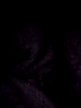 Snapshot of ScarletCallings420 chatting on December 22, 2024, 9:20 pm ScarletCallings420 online show from December 22, 2024, 9:20 pm