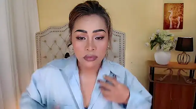 Snapshot of DreamLADYBOY chatting on February 27, 2025, 12:03 am DreamLADYBOY online show from February 27, 2025, 12:03 am