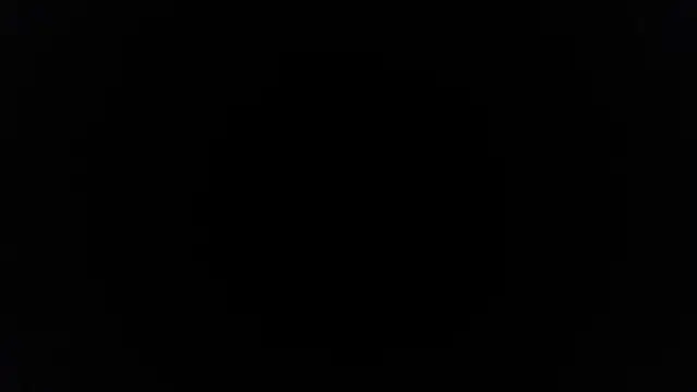 palidin1 online show from April 20, 2026, 5:54 am