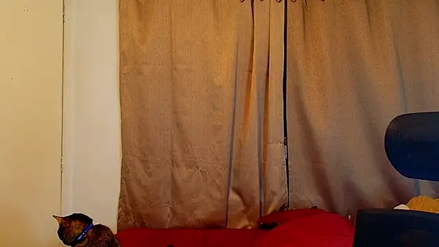 Snapshot of jimmy_class chatting on October 16, 2025, 12:30 am jimmy class online show from October 16, 2025, 12:30 am