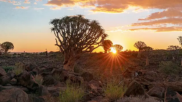 Snapshot of HannaMoom chatting on October 28, 2025, 10:52 pm HannaMoom online show from October 28, 2025, 10:52 pm