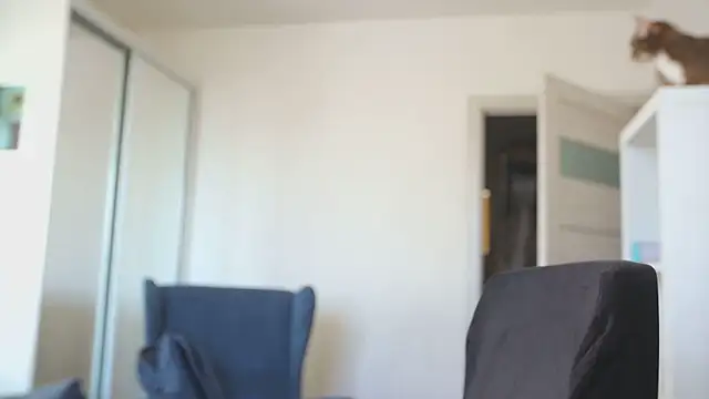 kevin-park online show from February 14, 2026, 8:14 am