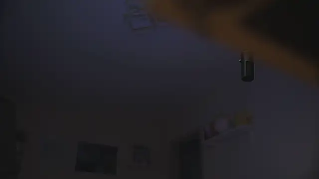 kevin-park online show from February 18, 2025, 3:41 pm