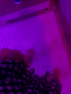 xsanchx online show from October 30, 2025, 1:20 pm