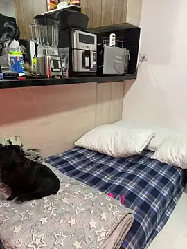 Snapshot of Dubois_Amy chatting on February 24, 2025, 9:30 pm Dubois Amy online show from February 24, 2025, 9:30 pm