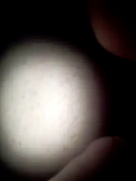 commonjust online show from November 26, 2025, 5:18 am