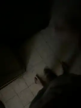 Dedoow online show from April 6, 2026, 10:44 pm