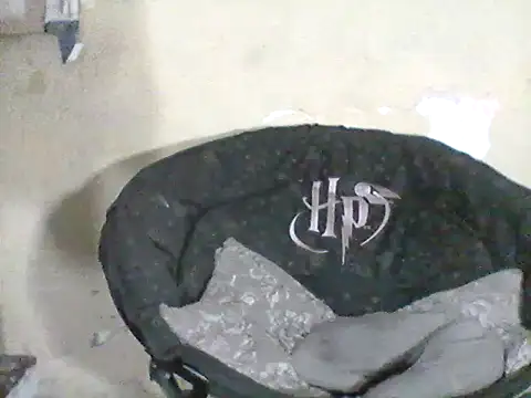 Snapshot of MarsWood chatting on October 24, 2025, 10:58 am MarsWood online show from October 24, 2025, 10:58 am