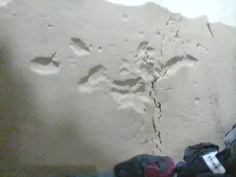 Snapshot of MarsWood chatting on October 16, 2025, 10:12 am MarsWood online show from October 16, 2025, 10:12 am