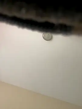 Snapshot of Iced_cloudz chatting on December 14, 2025, 3:17 pm Iced cloudz online show from December 14, 2025, 3:17 pm