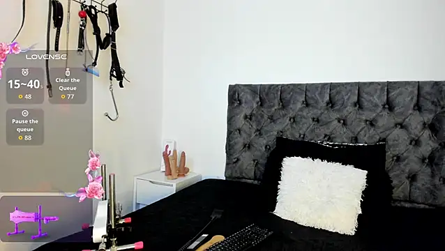 Snapshot of sweet__wild chatting on November 11, 2025, 11:53 pm sweet wild online show from November 11, 2025, 11:53 pm