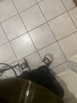 Snapshot of dingoding chatting on February 12, 2025, 3:18 am dingoding online show from February 12, 2025, 3:18 am