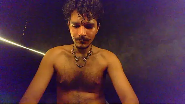 die mond online show from February 19, 2026, 3:36 am