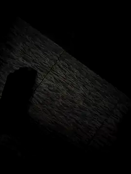 tamil202 online show from November 30, 2025, 1:28 am