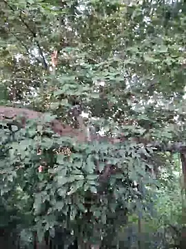 Rinku5553 online show from September 26, 2025, 2:07 am