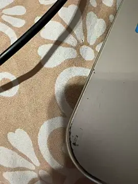 CrazzyChicks online show from March 21, 2025, 2:40 pm