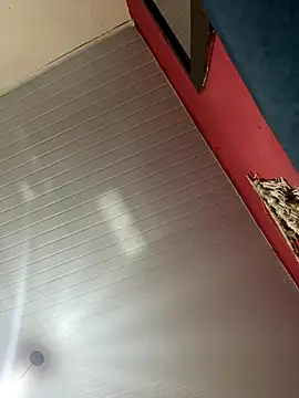 pimenta gaby online show from November 14, 2025, 10:30 am